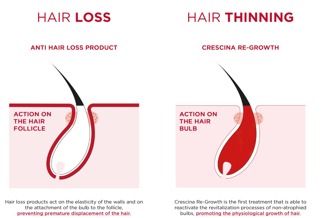 Queda de cabelo vs enfraquecimento