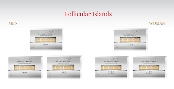 Follicular islands