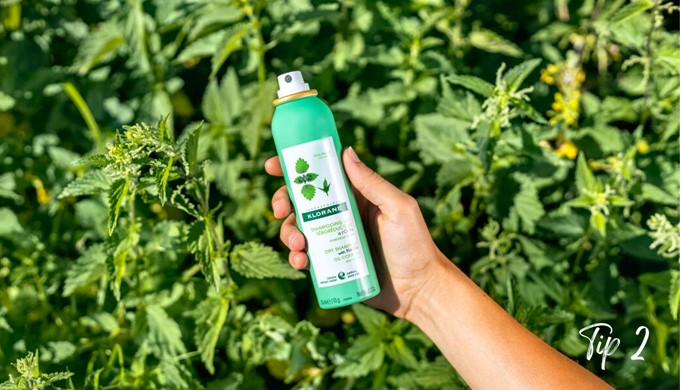 Seborrheic Dry Shampoo with Nettle