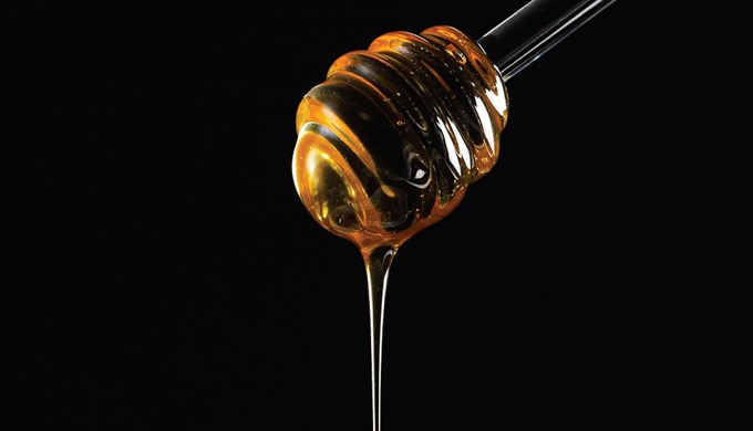 Apivita honey