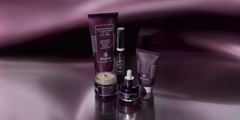 Black Rose / Rose Noire