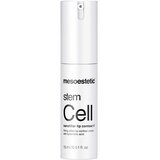 stem cell nanofiller lip contour 15ml