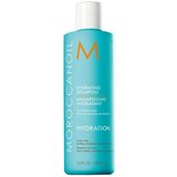 hydrating shampoo for dehydrated or dry hair 250ml