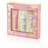 vinousorce sorbet 40ml + foaming cleanser 50ml + vinosource serum sos 10ml