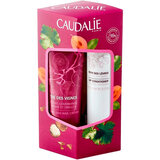 cuidado de lábios 4,5g + creme delicioso de mãos e unhas thé de vigne 30ml