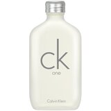 Calvin Klein Ck One Eau de Toilette 100 mL