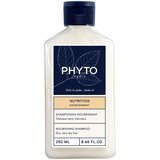 Phyto Phytojoba Shampoo Cabelos Secos sem Brilho 250 mL