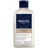 Phyto Phytokeratine Shampoo Cabelos Danificados Quebradiços 250 mL