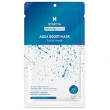 Aqua Boost Mask
