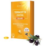 Terracotta Cocktail Sun