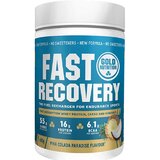 Gold Nutrition Fast Recovery para Recuperação Muscular Sabor Pina Colada 600 G