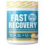 Gold Nutrition Fast Recovery para Recuperação Muscular Sabor Pina Colada 600 G (Val 01/23)