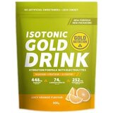 Gold Nutrition Gold Drink Sabor Laranja 500 g   
