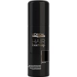 LOreal Professionnel - Hair Touch Up Spray Color 75mL Black