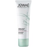 Jowae - Moisturizing Rich Cream Normal to Dry Skin 40mL