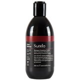 Sendo - Color Defense Color Protection Shampoo 250mL
