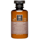 Apivita - Oily Dandruff Shampoo 250mL
