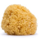 Suavinex - Natural Sponge 1 un. Medium