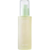 Goodal - Houttuynia Cordata Calming Moisture Serum 50mL