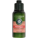 LOccitane - 5 Essential Oils Intensive Repair Shampoo 75mL