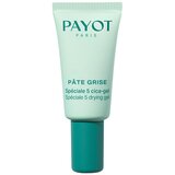 Payot - Pâte Grise Spéciale 5 Drying Gel 15mL
