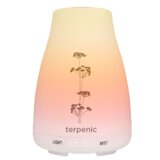 Terpenic - Aromatherapy Diffuser Bruma 1 un.