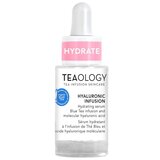 Teaology - Hyaluronic Infusion Sérum Hidratante
