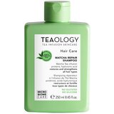 Teaology - Hair Care Matcha Hair Repair Shampoo 250mL