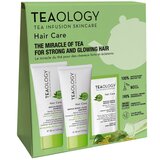 Teaology - Hair Care Matcha Hair Repair Shampoo 30mL + Mask 30mL + Instant Serum Sample 1 un.