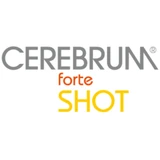 Cerebrum
