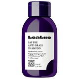 LeaLuo - Say Bye Anti-Brass Shampoo 100mL