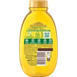 Garnier