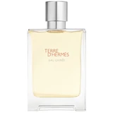Hermès - Terre D'Hermès Eau Givrée Eau de Parfum 100mL