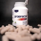 Proerecta