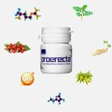 Proerecta
