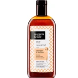 Nuggela & Sulé - Nº1 Shampoo Força e Volume 250mL