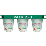 Psyllogel - Psyllogel Fibra Bottle 170g 2=3 Orange