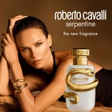 Roberto Cavalli