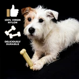 Tasty Bone