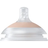 Lovi - Mammafeel Dynamic Teat 1&nbsp;un. 6+ Months Medium Flow