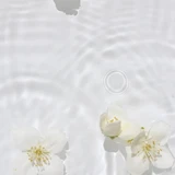 Shiseido