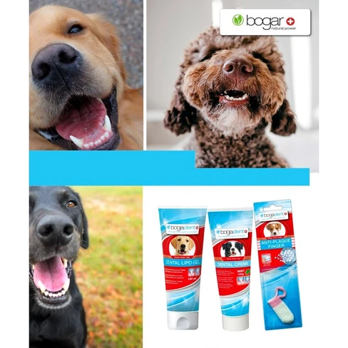 Bogar Bogadent Dental Lipo-Gel for Dog - SweetCare Uzbekistan