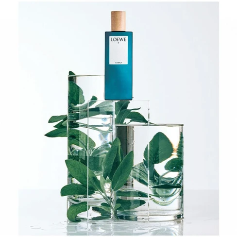 Loewe 7 Cobalt Eau de Parfum para Homem - SweetCare Brasil