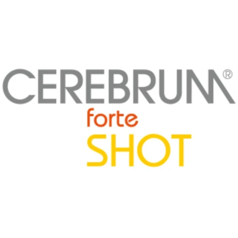 Cerebrum