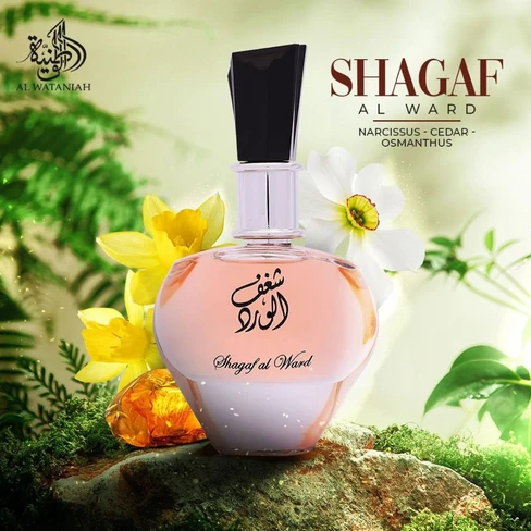 香水(女性用) Al Wataniah Khususi Shagaf Al Ward Amazon.com : Al Wataniah Perfume For Women, Shagaf Al Ward