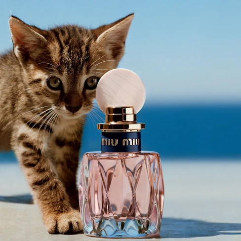 L'Eau Rosée Eau de Toilette for Women - Miu Miu | Buy at Sweetcare
