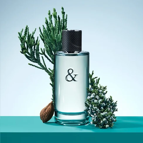 Tiffany and Love Him Eau de Toilette Homem - Tiffany | Compre na