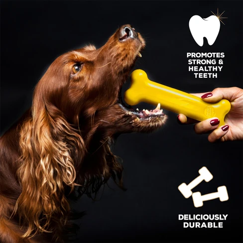 Tasty Bone