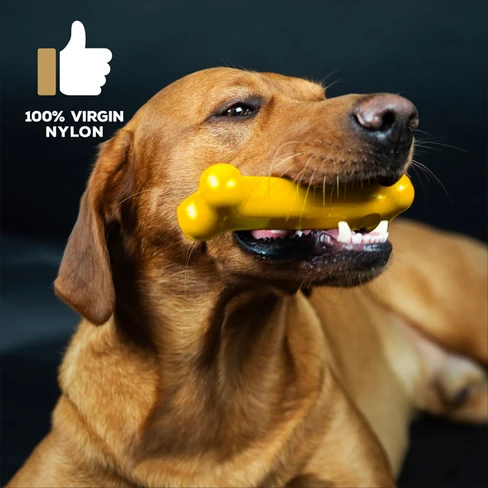 Tasty Bone