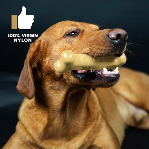 Tasty Bone